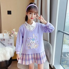 Girls' Long-Sleeved Dress, Spring/Summer New Style Sweatshirt Dress, Children's Princess Dress, Older Kids' Fake Two-Piece Preppy-Style Skirt