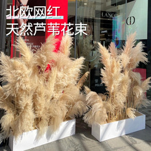 ���滨�����҃ȿ͏d�t���W����쾰�b[����Ȕ�[�O�̈��JȔ�ɻ�