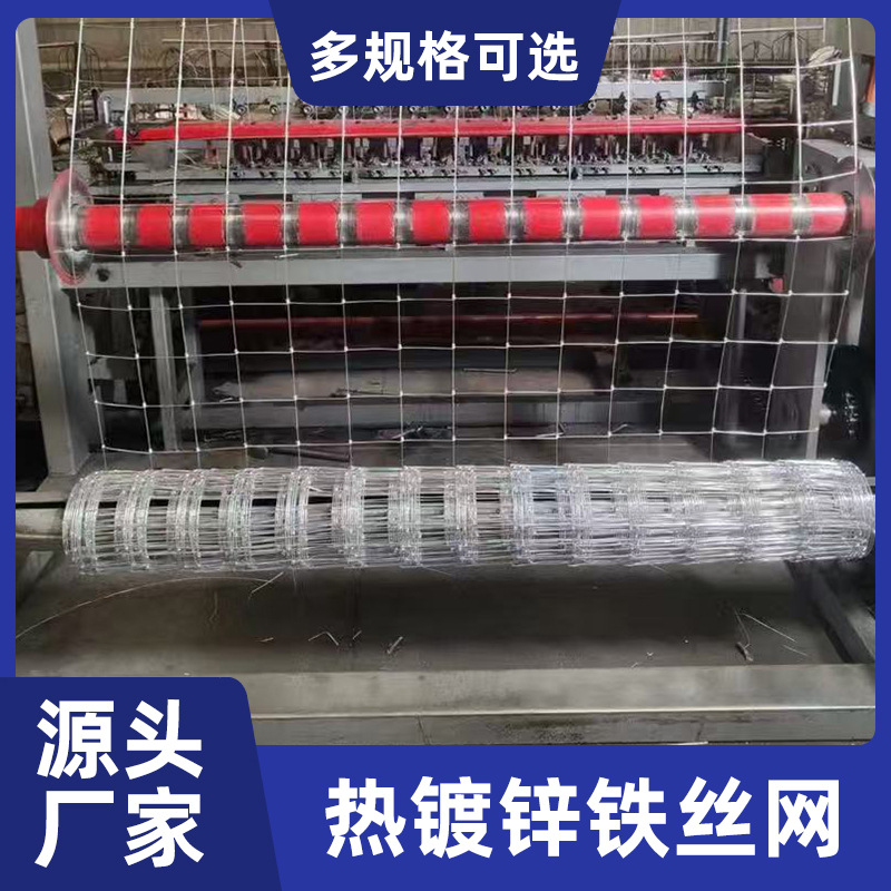 批发铁丝网养殖防护网 热镀锌铁丝围栏网 拦牛羊养殖网规格齐全