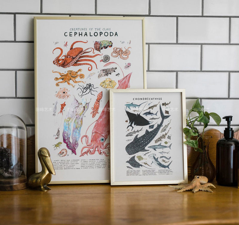 B4DR批發動物兒童房裝飾畫芯 科普早教圖譜插畫藝術海報 現代簡約