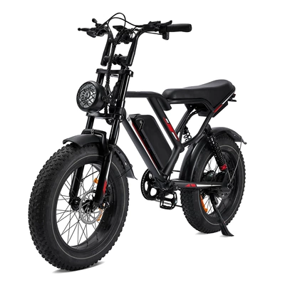 20inch Wide-Tire Electric Bicycle with Power Assist, 1000W, Motorcycle-Like Riding Experience, Dropshipping from European and American Overseas Warehouses