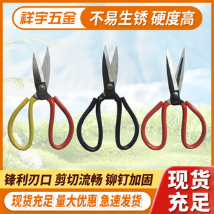 �F؛���l���ü�����呴�N�������ؔ��YƷƤ������ÿp����