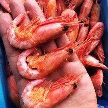 ����5kg����ȫ�ѱ��O���r������rԭ�b�M�ڼ��ô�������O�r