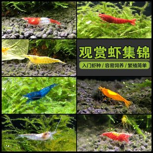 �����r�^�p�r���w�ښ��r�����坍�����rˮ���ѻ��O���S�����r�ײ�