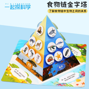 �ƌW���ʳ��朽�����diy�Ƽ�С���� ��ͯ�ֹ��W��������ϰ����b