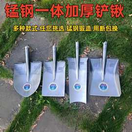 锰钢方锹挖树铲建筑工地拌灰铲土农用收粮食铲子批发农用工具尖锹