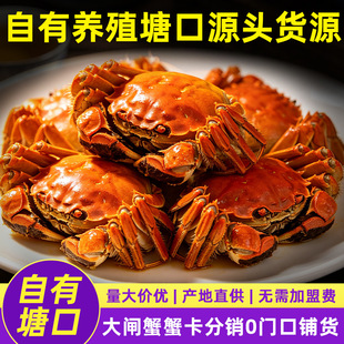 �����ͶY�r��ˮ�a���lз�YƷ���i�r��ˇ����logo50����ӆ��������