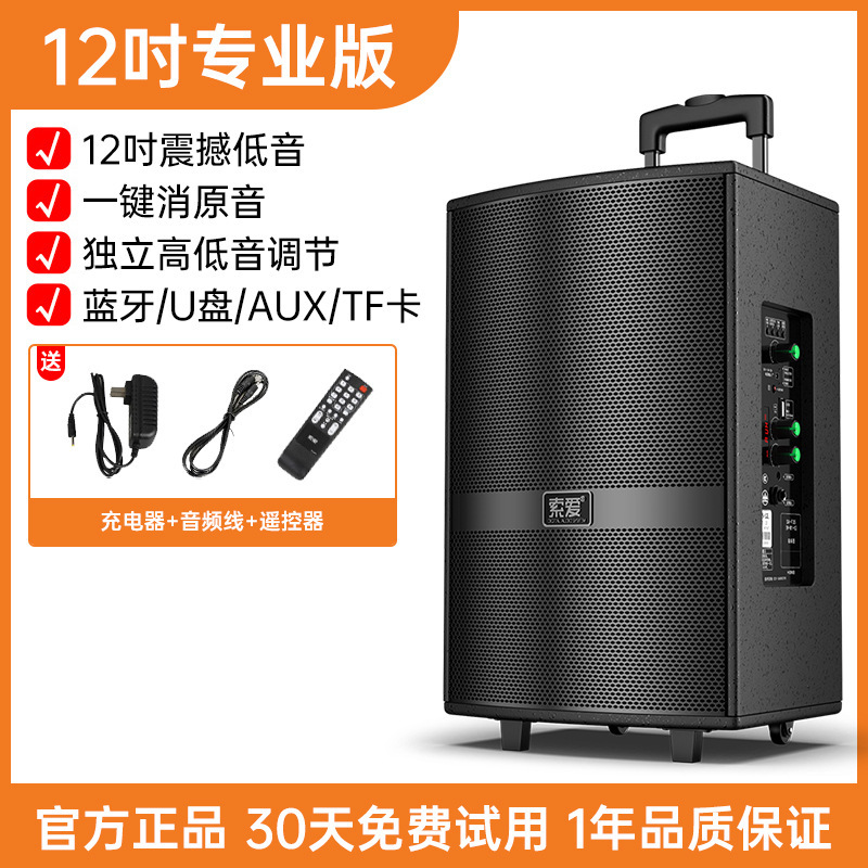 Soei F36 Square Dance Audio Show Outdoor K Dance 15 pulgadas barra móvil altavoz Bluetooth con micrófono