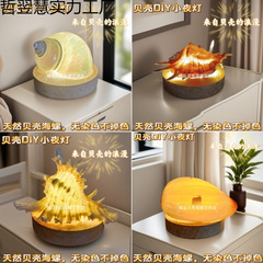 天然海螺海胆壳迷你小夜灯 创意儿童生日礼物diy手工材料创意摆件