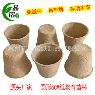 ������һ���Լ��{���籭�ɽ���A��6cm�Nֲ���߲˱�������������