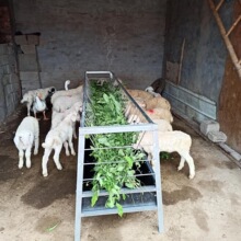 �p��ι������ϲۼӺ��������ʳ�۸Ƀ�ʡ�ϰ��]���Sֱ�N���uͨ