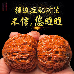 �O���@��֮�w������ҳߴ����������ִ��y�����ղذ�����ִ�