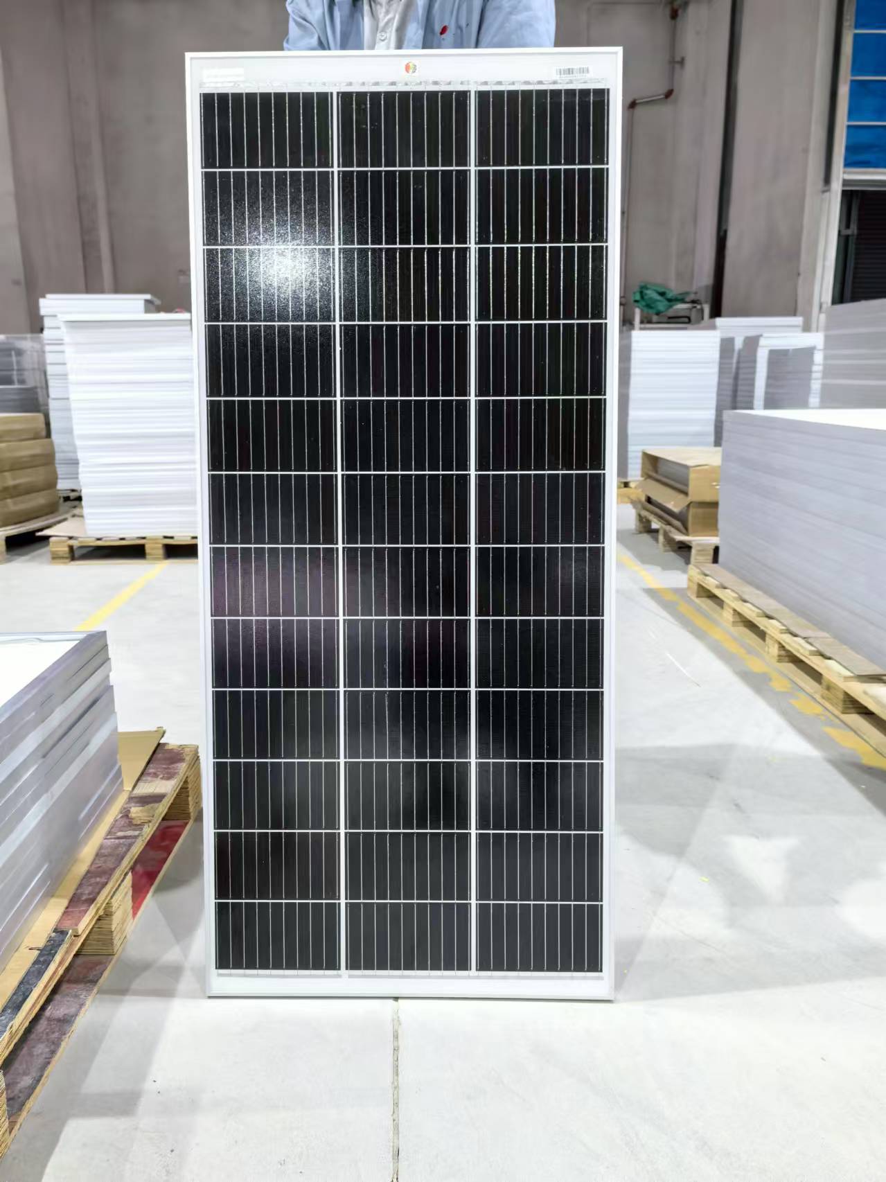 微信图片_20240824070556