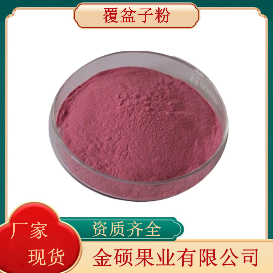 覆盆子粉99%  红树霉粉 覆盆子提取物 金硕应果蔬粉 厂家现货销售