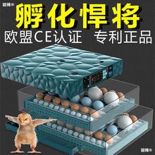 孵化器孵蛋器孵化机全自动小型家用型全自动智能孵小鸡鸭鹅卵蛋器