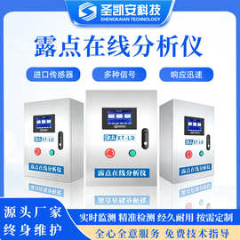 数显露点在线分析仪 压缩空气干燥机专用 微水含量精准测定仪