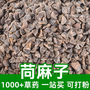 ������1kgʳƷ���в�șԭ���Ͽɴ��Amaranth seeds������Ұ�޻�