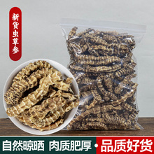 广西虫草参中药材新货无硫地参不老草竹节参煲汤泡酒料