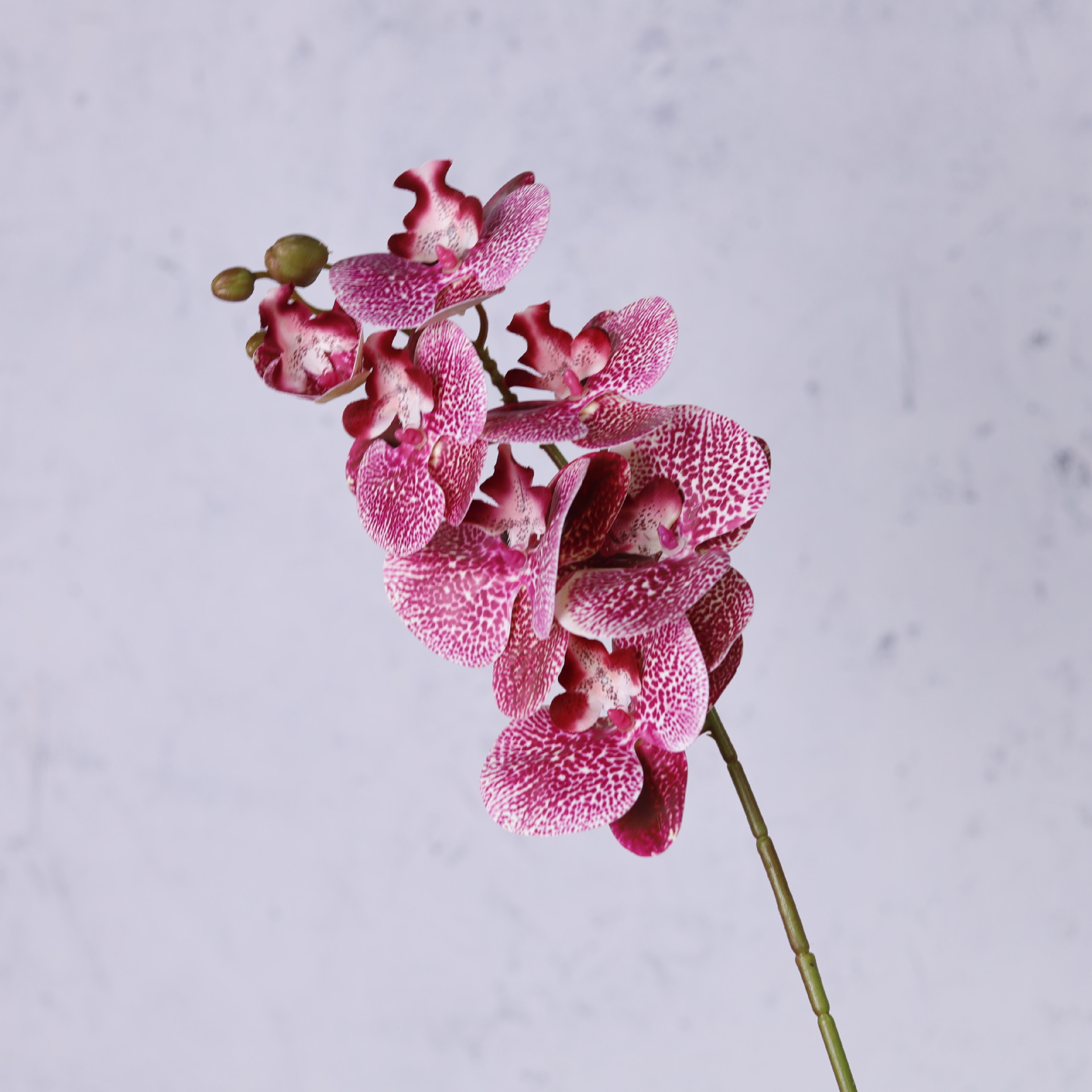 Impresión 3D de 7 cabezas de orquídeas mariposa flor de decoración de flores de alto nivel flor de nicho decoración floral decoración de sala de estar