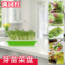 ѿ��˱P�๦������P�������㶹�����綹ѿ��ˮ���߲����ϰlѿ��