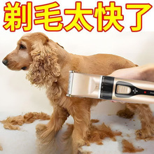 ������ë��������Ƽ�̩��؈���깷ë���I�������ë���l�_ë����