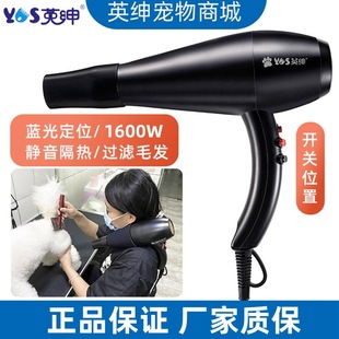 Gentry Pet Hair Dryer Hair Dryer for Hairdresser Pet Shop Neck Blue Light Mute Cat Dog Hair Dryer