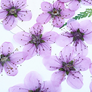 �һ��ѻ��滨�羳�ɻ������˱��NĘ�y̨��Ϟ�T�N���ֹ�diy���ϰ�