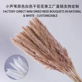 鲜花花艺制品;永生花;干花