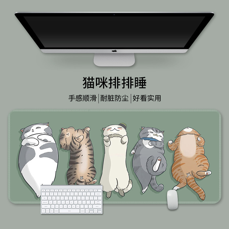 고양이는 배불리 자고 있다