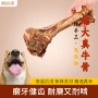 洁齿磨牙训练大型犬零食