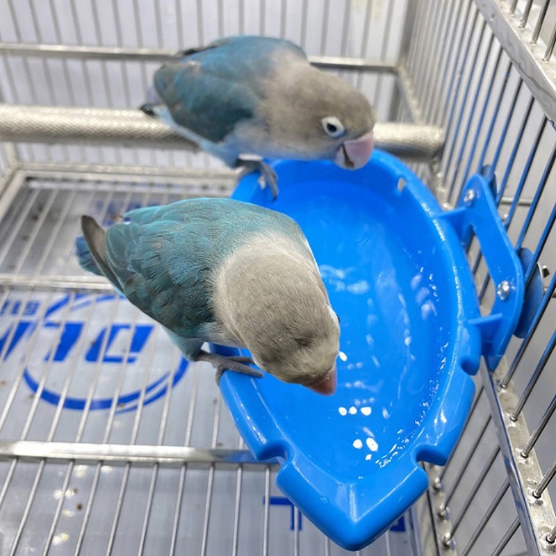 Blue Bird Bathture Parrot Bath Bath Bird Bird Pet Pet Products Pet Products 2