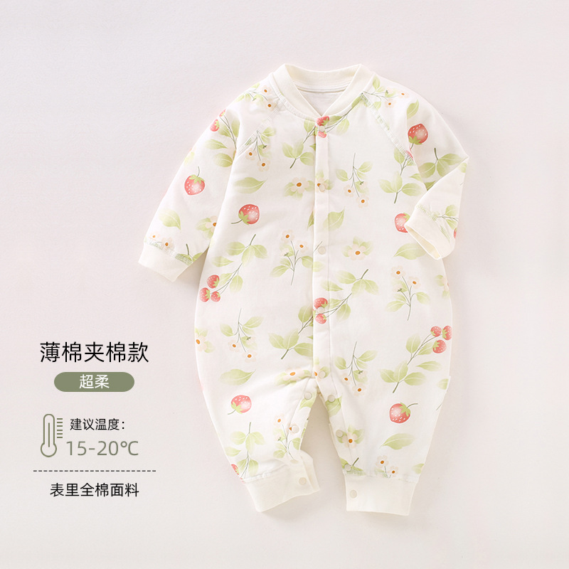 603618 colorful strawberry