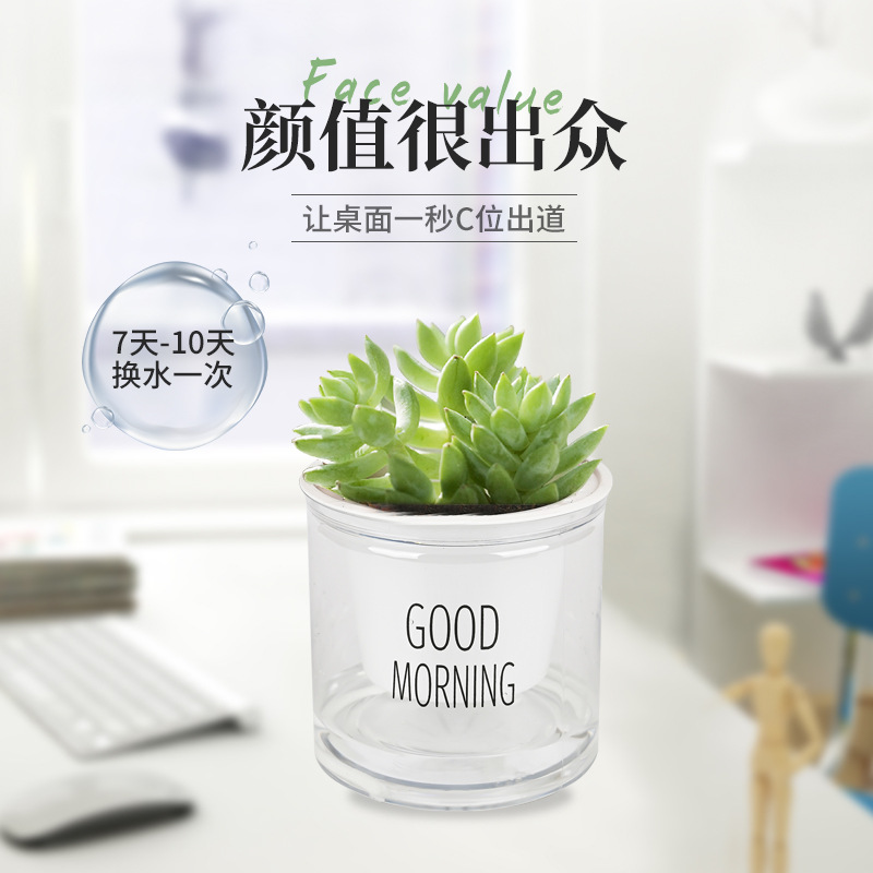 Automatic water-absorbing transparent lazy pot factory direct sales round cross-border desktop green plant hydroponic plastic succulent flower pot