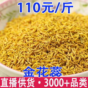 ���� ĵ������ �S���� ����� ĵ������� ��؛���l