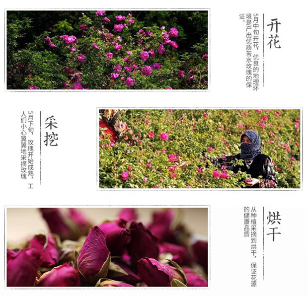 Kushui Rose Bud Tea 500g Dried Mei Gui Hua Buds for Brewing and Blending quality and texture