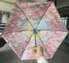 Five-fold gold glue--Little Prince and Rose
