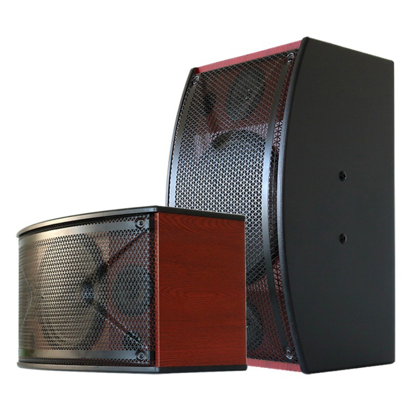 Al por mayor personalizado 8-10-12 pulgadas titular de la tarjeta profesional altavoz hogar al aire libre transmisión en vivo familia KTV combinación audio traje