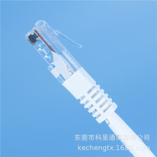 �S��ӆ��cat5������ξW�� �҃�·������X�B����������W��