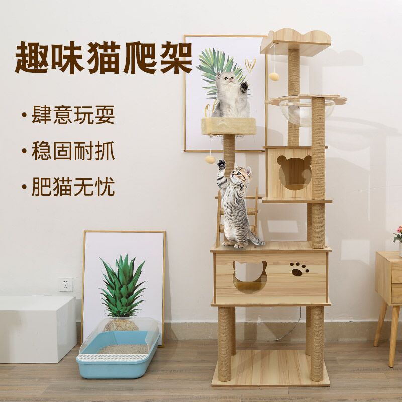 Pet Cat Climbing Frame Large Space Capsule Cat Scratching Board Cat Claw Grinding Cat Toy Villa Kitten Wholesale Cat Fitness