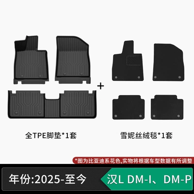Modelə uyğun ayaqaltı, Suitable for BYD, TPE - 25-models-of-byd-han-l-dm-i-dm-p-tpe-floor-mats-snow-velvet-carpet