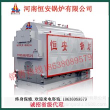 3吨链条生物质蒸汽锅炉快装全自动质商用环保节能柴煤