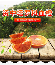 正宗四川資中塔羅科血橙新鮮水果現摘紅肉橙子手剝橙超甜水果包郵
