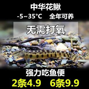 ���A���q�~ �Ї�ԭ���~ ��ˮ�~ �����~�坍�~ �Ԛ����~�SƤ�����B