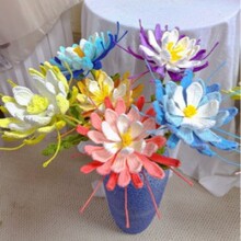 �ֹ��h��ë�������һ���Ʒ���滨�b�ˇ�[���Y���h��ë�������l