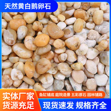 �S�����l��Ȼ�S��ɫ�Z��ʯ2-3�����ZܛʯʯͥԺ䁵؈@���b�Сʯ