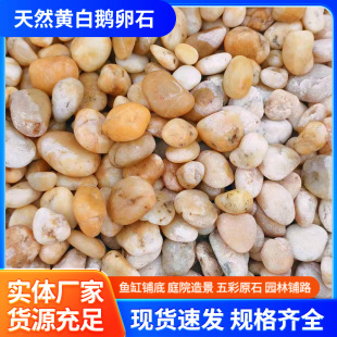 �S�����l��Ȼ�S��ɫ�Z��ʯ5-8�����껨ʯͥԺ䁵؈@���b�Сʯ�^