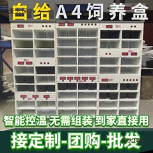 PVC�����،m���ܷ�ֳһ�w��B�ߙ���ϙ����x��B���ܐa����̫��