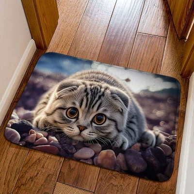 Avtomobil döşəmə paspasları, easy to maintain, entryway entrance mat - little-kitten-10-4060cm-crystal-velvet