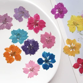 干花;相框、画框;贺卡