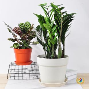 ?����t�ջ������a���l�Ӻ��������ԾGֲ�G�}������ҾӷNֲ����